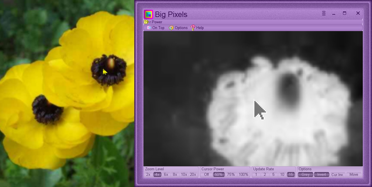 bigpixels-screenshot3 (JPG image)