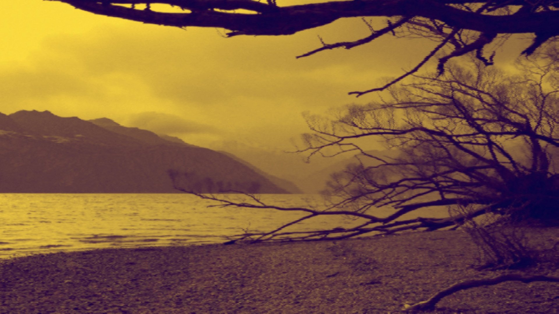 Sample wallpaper
Click to view image full size in a new tab