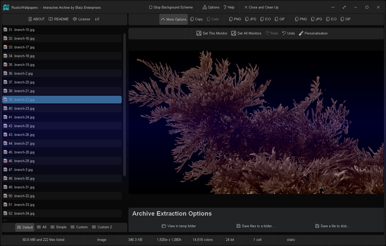 Viewing an image in the archive
Click to view image full size in a new tab